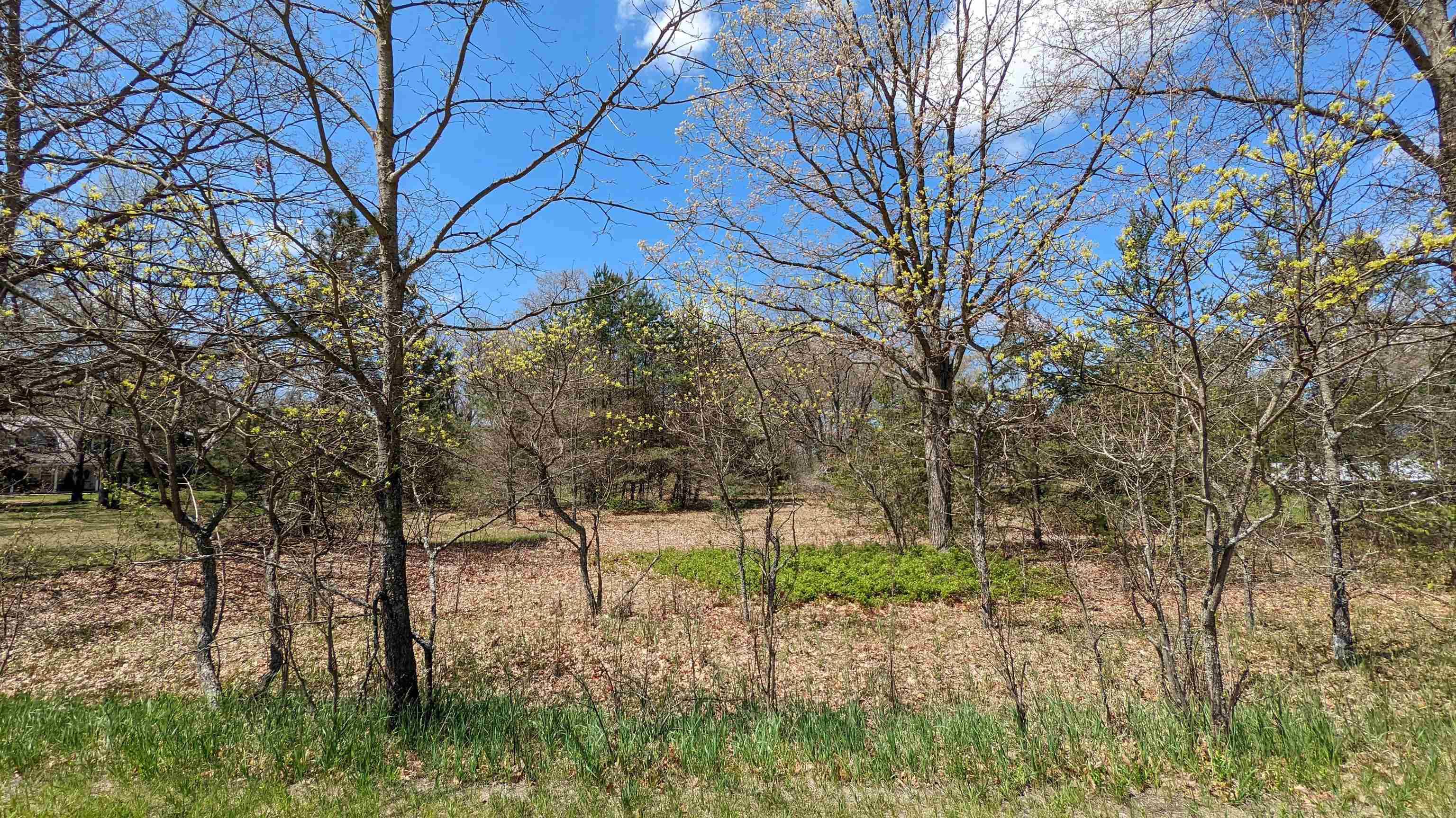 Brethren, MI 49645,Lot 19 Wingert ST