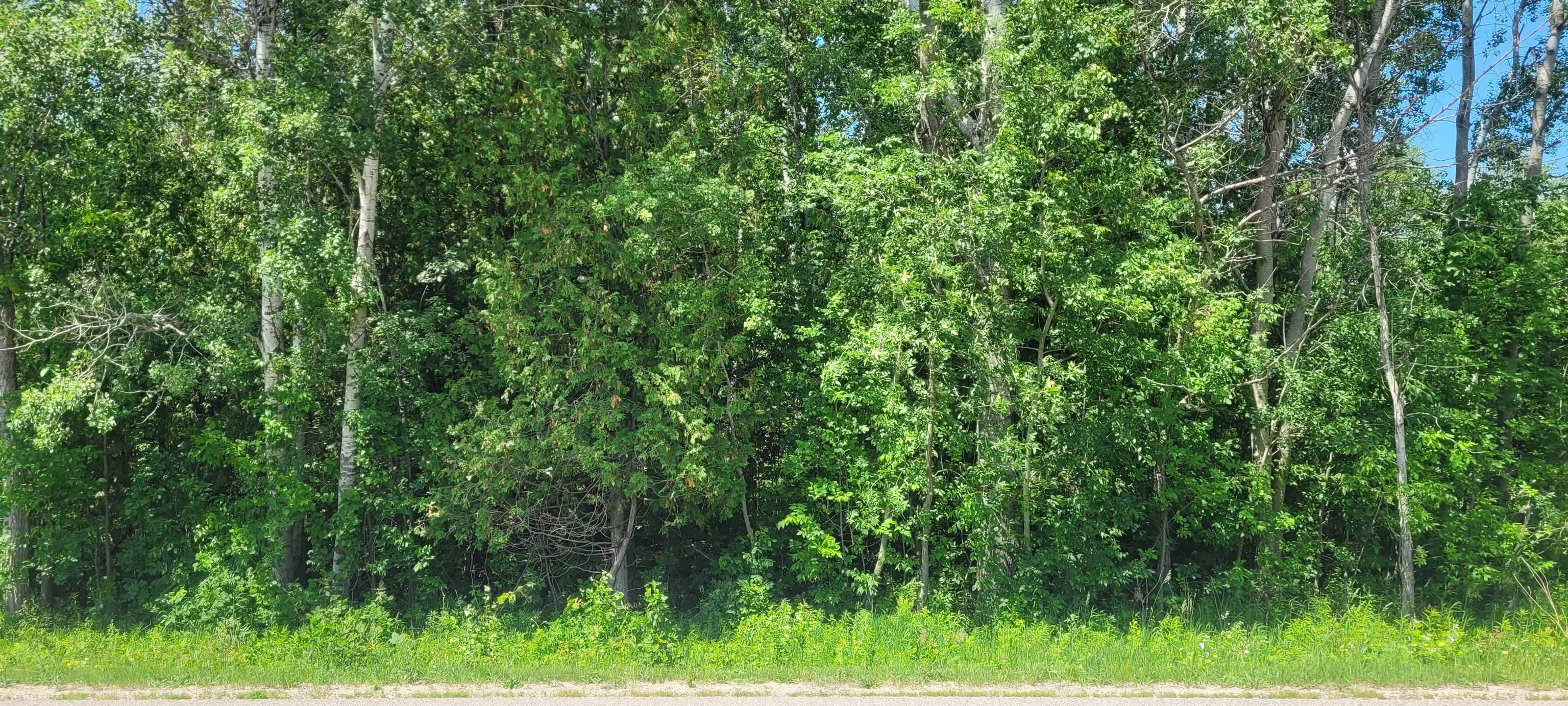 Ellsworth, MI 49729,00 Ellsworth RD