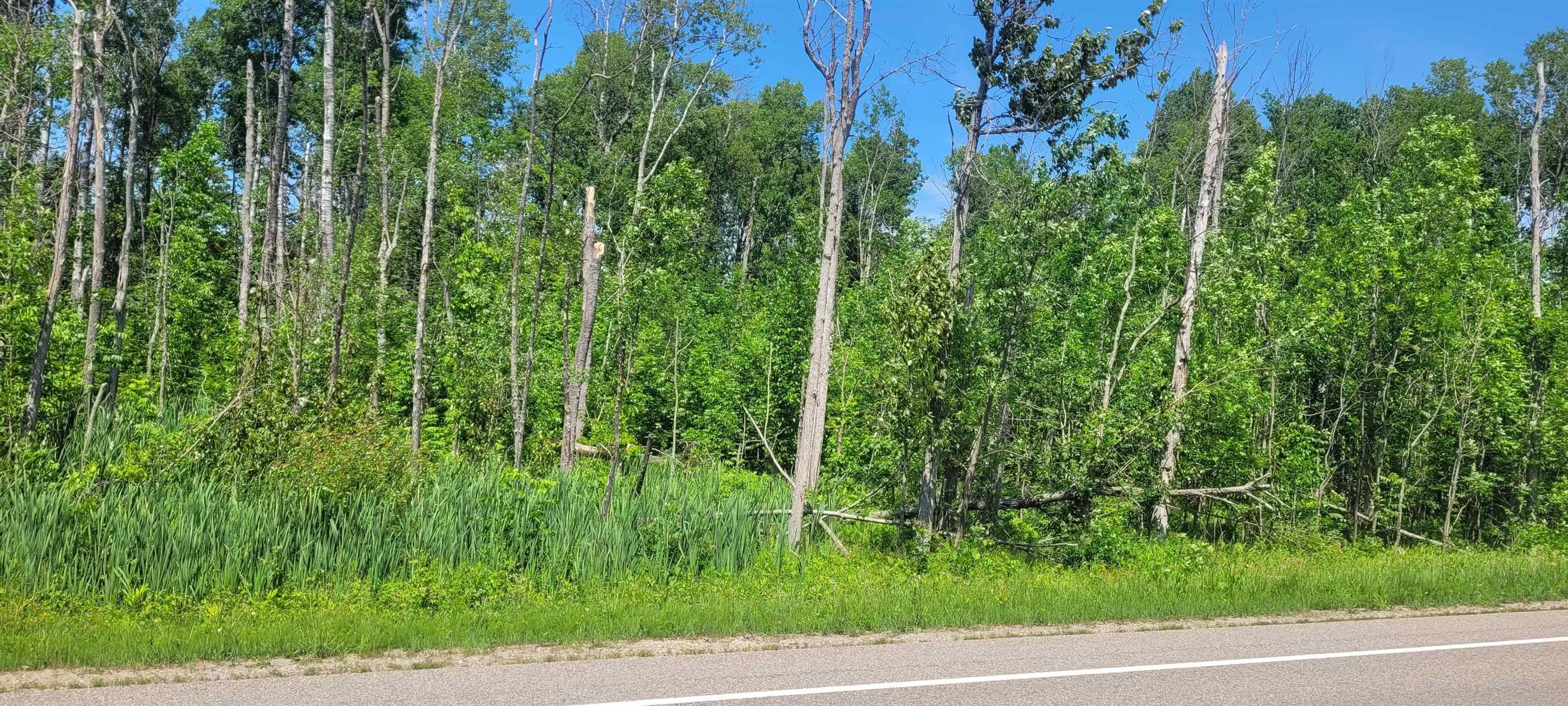 Ellsworth, MI 49729,00 Ellsworth RD