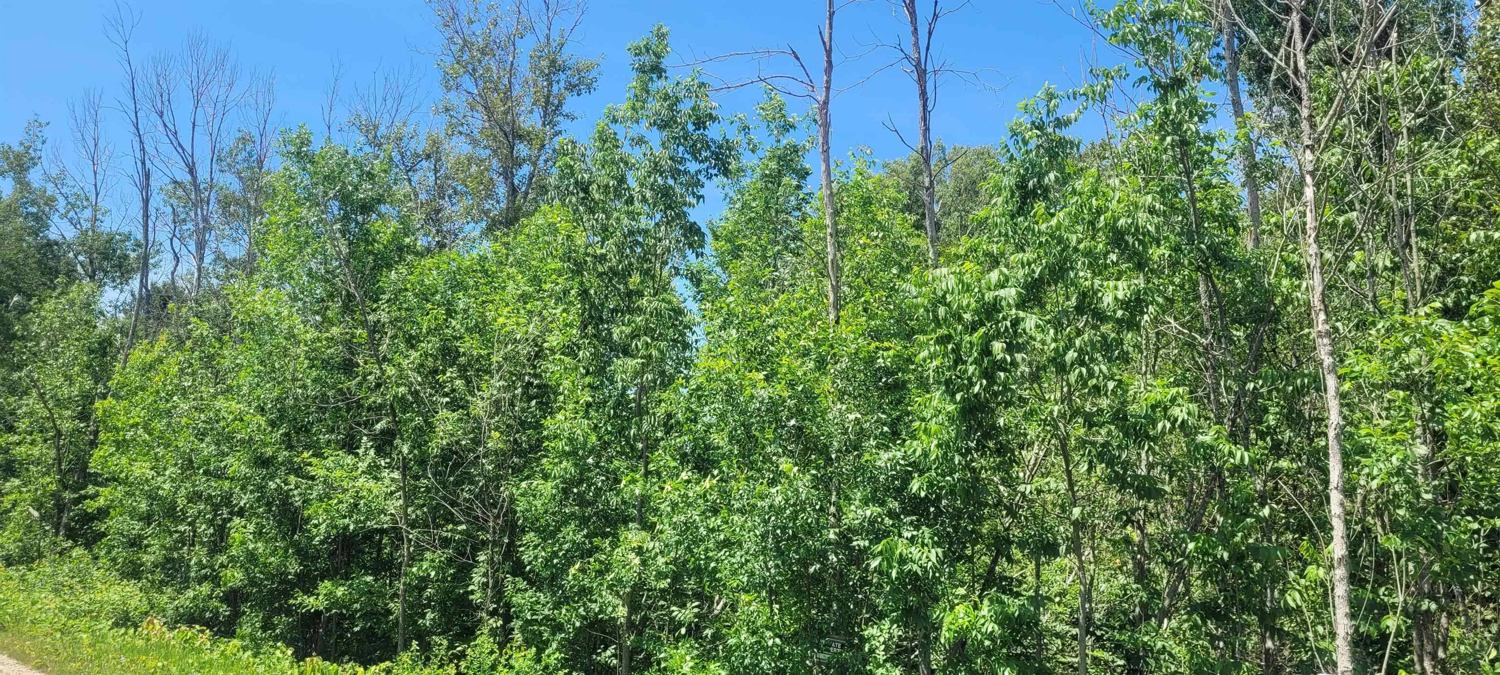 Ellsworth, MI 49729,00 Ellsworth RD