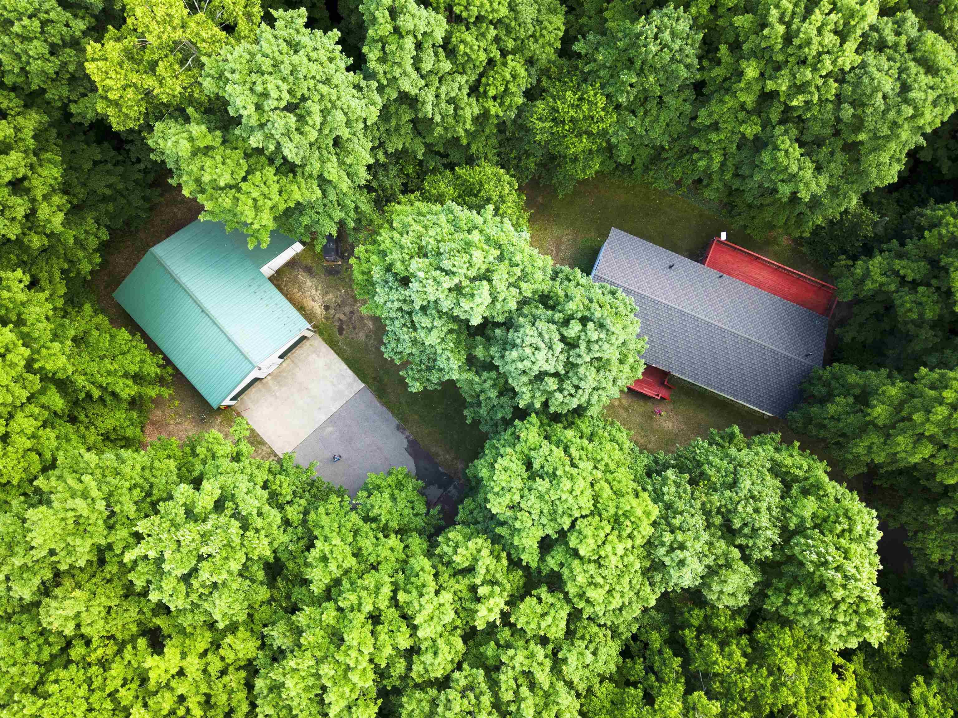 Rapid City, MI 49676,21 Wood RD