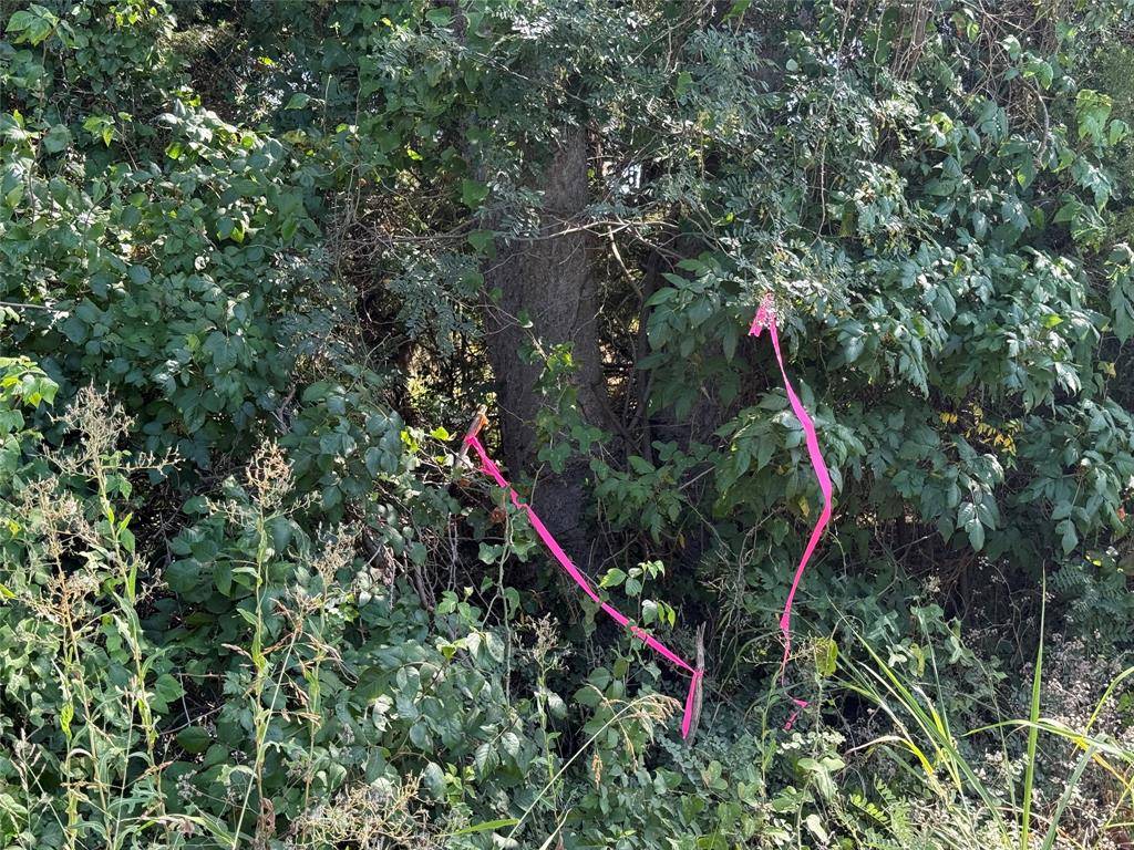 Leonard, TX 75452,Tract 2 County Road 5045