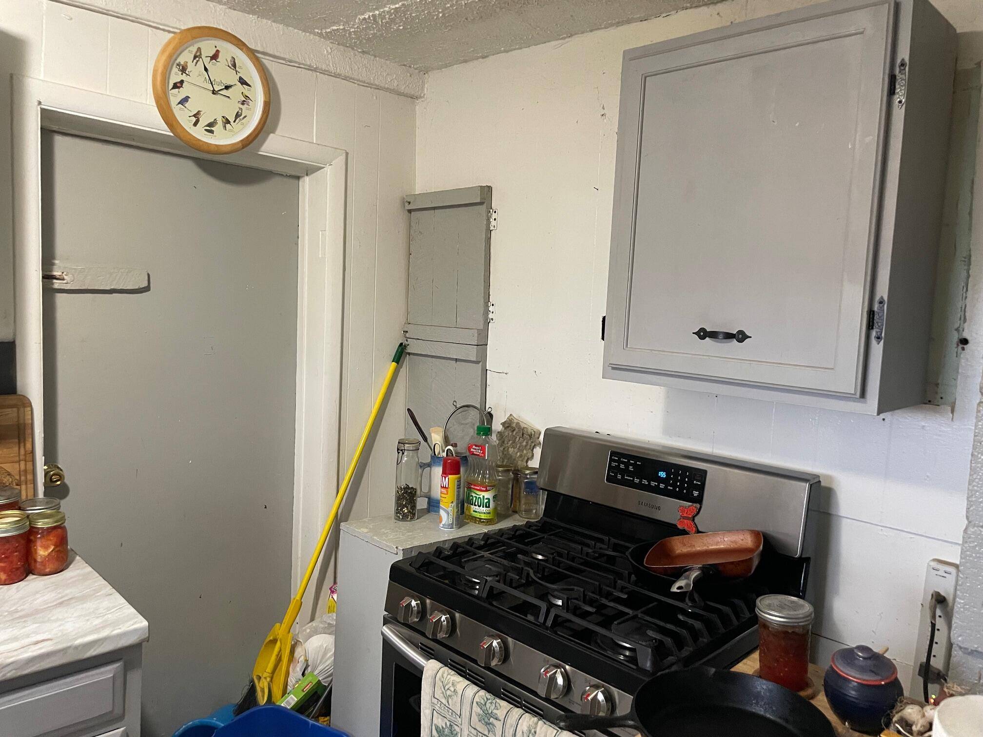 Irons, MI 49644,16206 Peters Farm RD