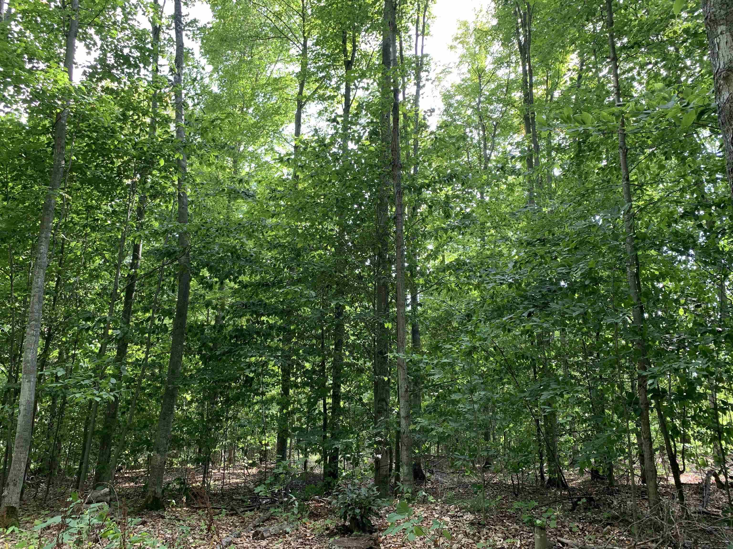 Levering, MI 49755,00 Keiser RD