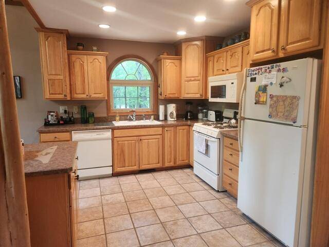 Baldwin, MI 49304,9316 S Oxeye AVE