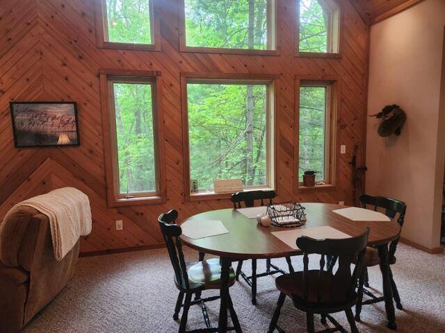 Baldwin, MI 49304,9316 S Oxeye AVE