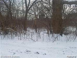 Bloomfield Hills, MI 48302,S Pemberton Lot 20