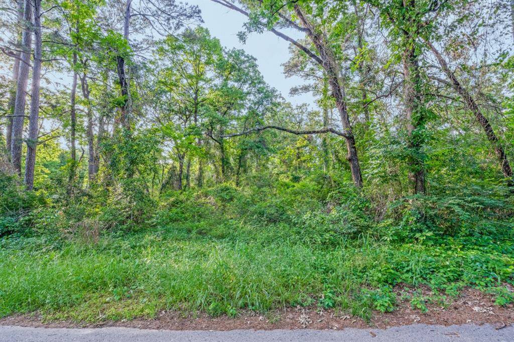 Frankston, TX 75763,00 Forest Hill Drive