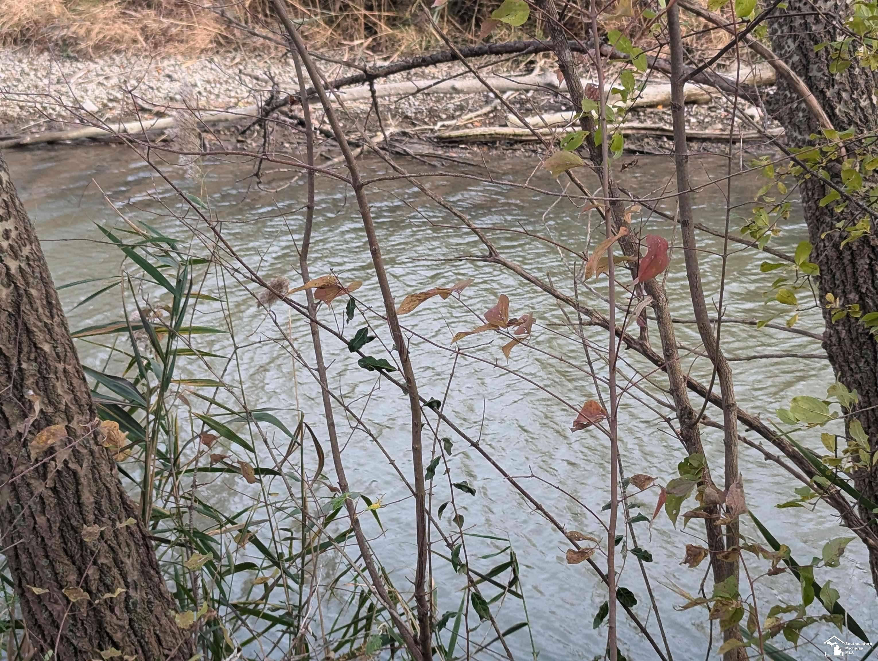 36168 Ruth ST, Brownstown Twp, MI 48173