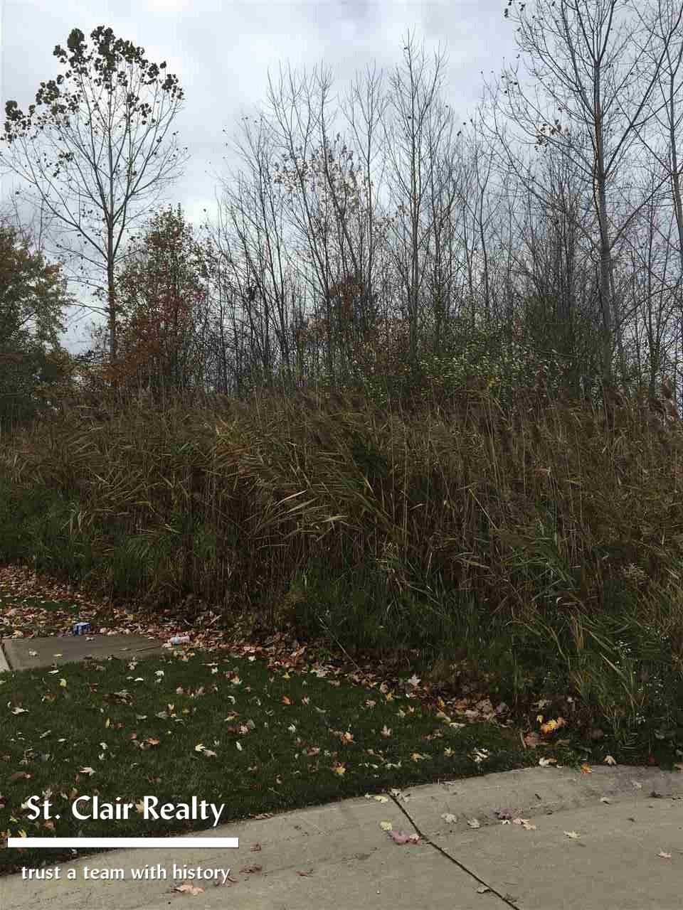 MI 48054,5148 Ivy LN