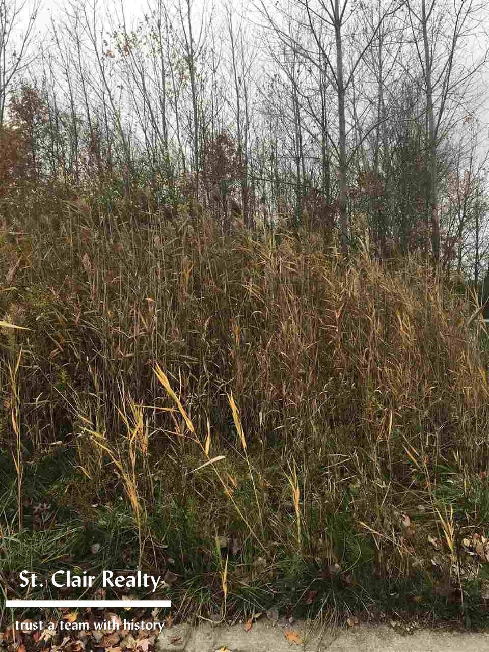 MI 48054,5148 Ivy LN