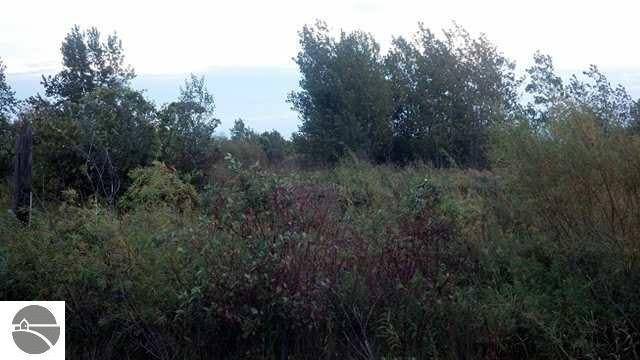 0 S Court ST, Au Gres Twp, MI 48703