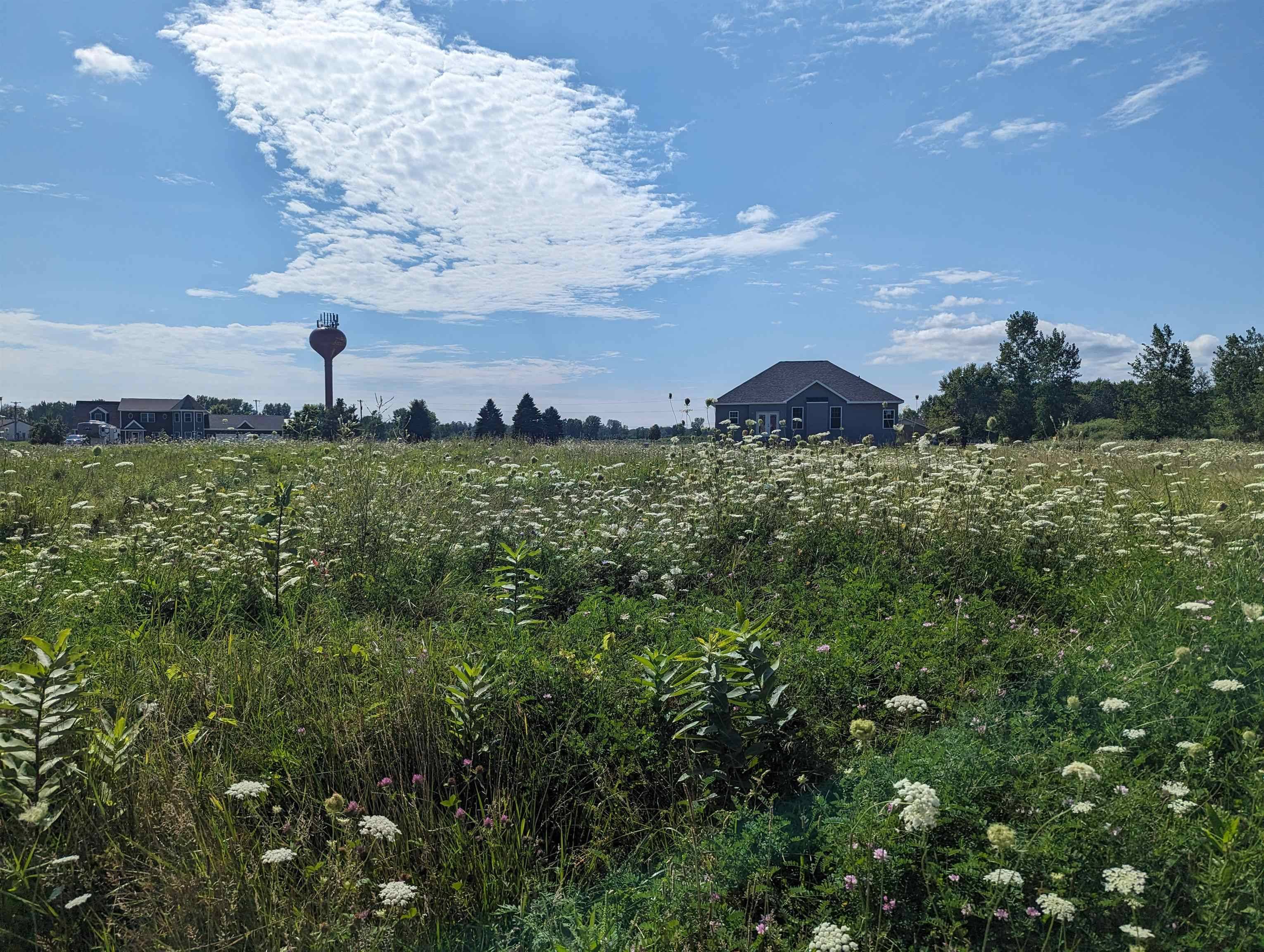 Au Gres, MI 48703,0 S Court ST