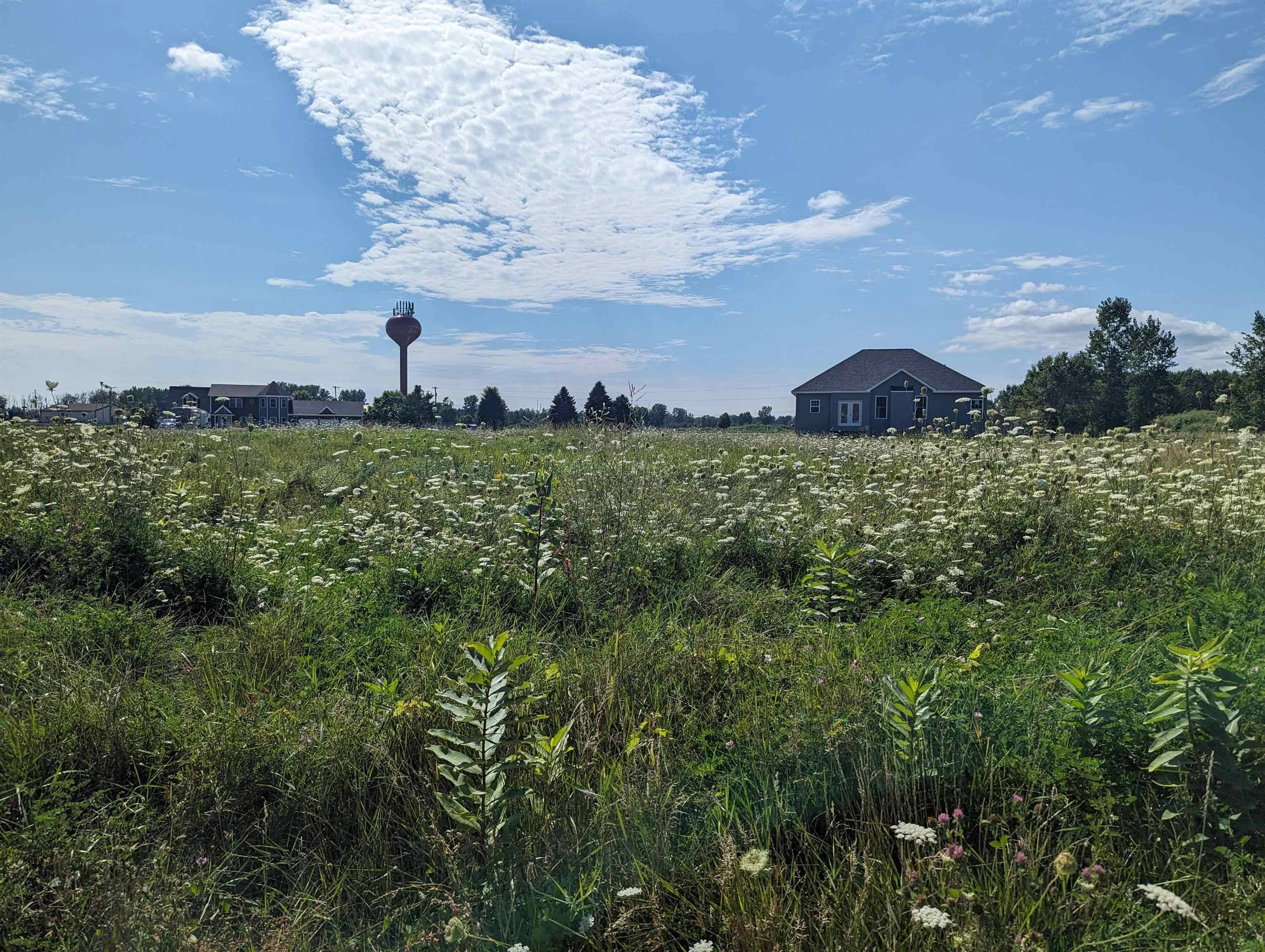 Au Gres, MI 48703,0 S Court ST