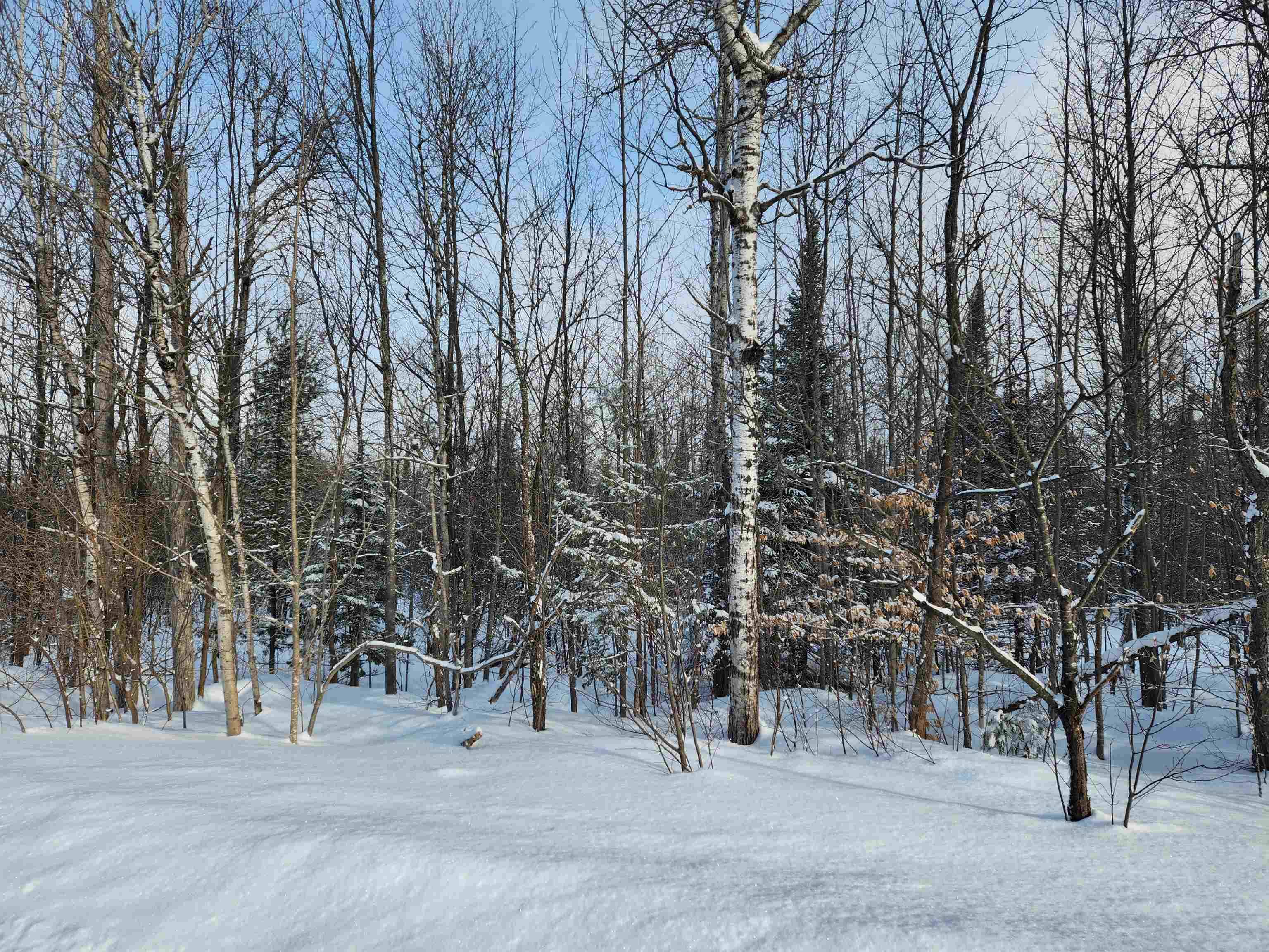 MI 49676,TBD Valley Road, Nw