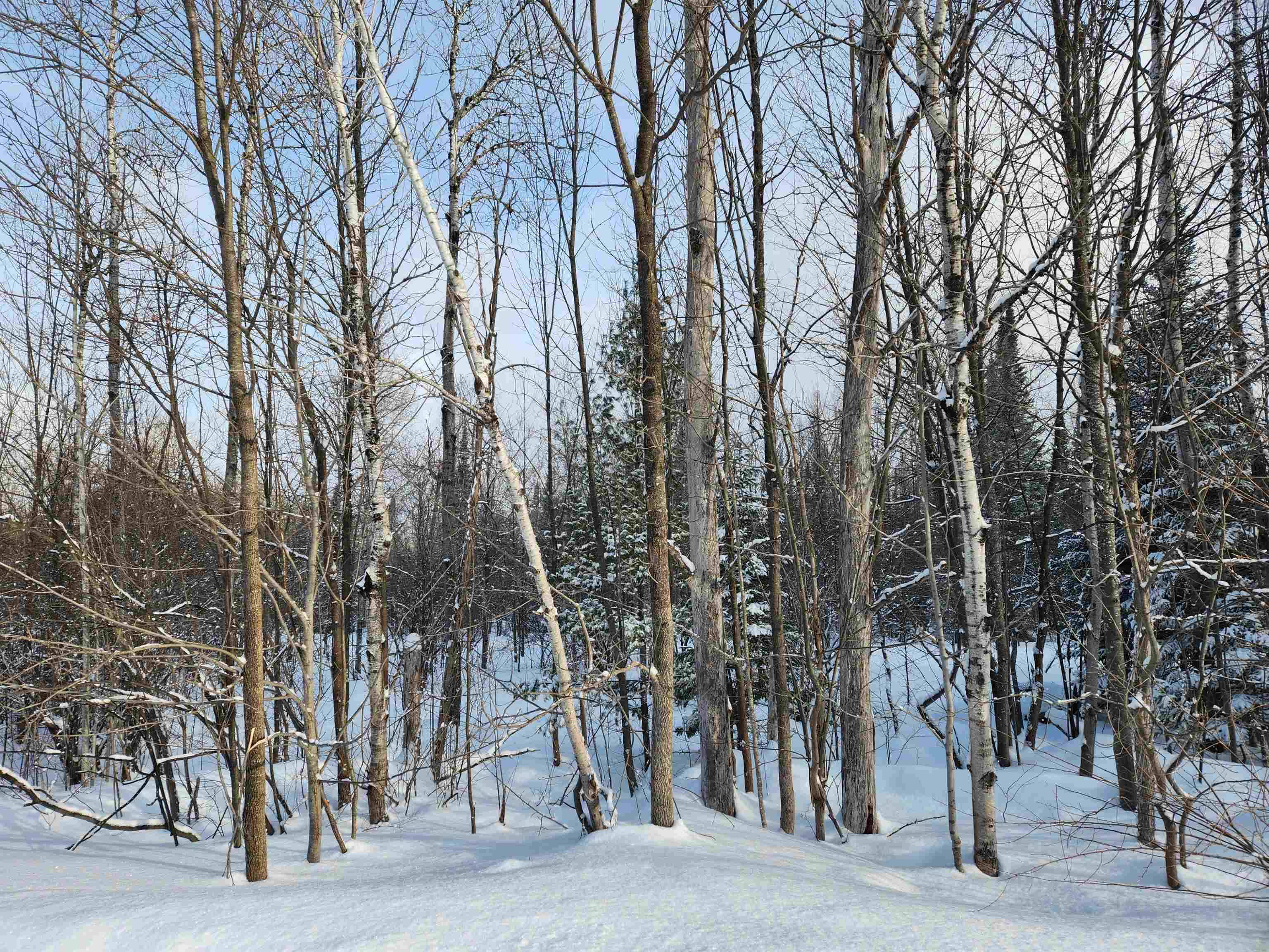 MI 49676,TBD Valley Road, Nw