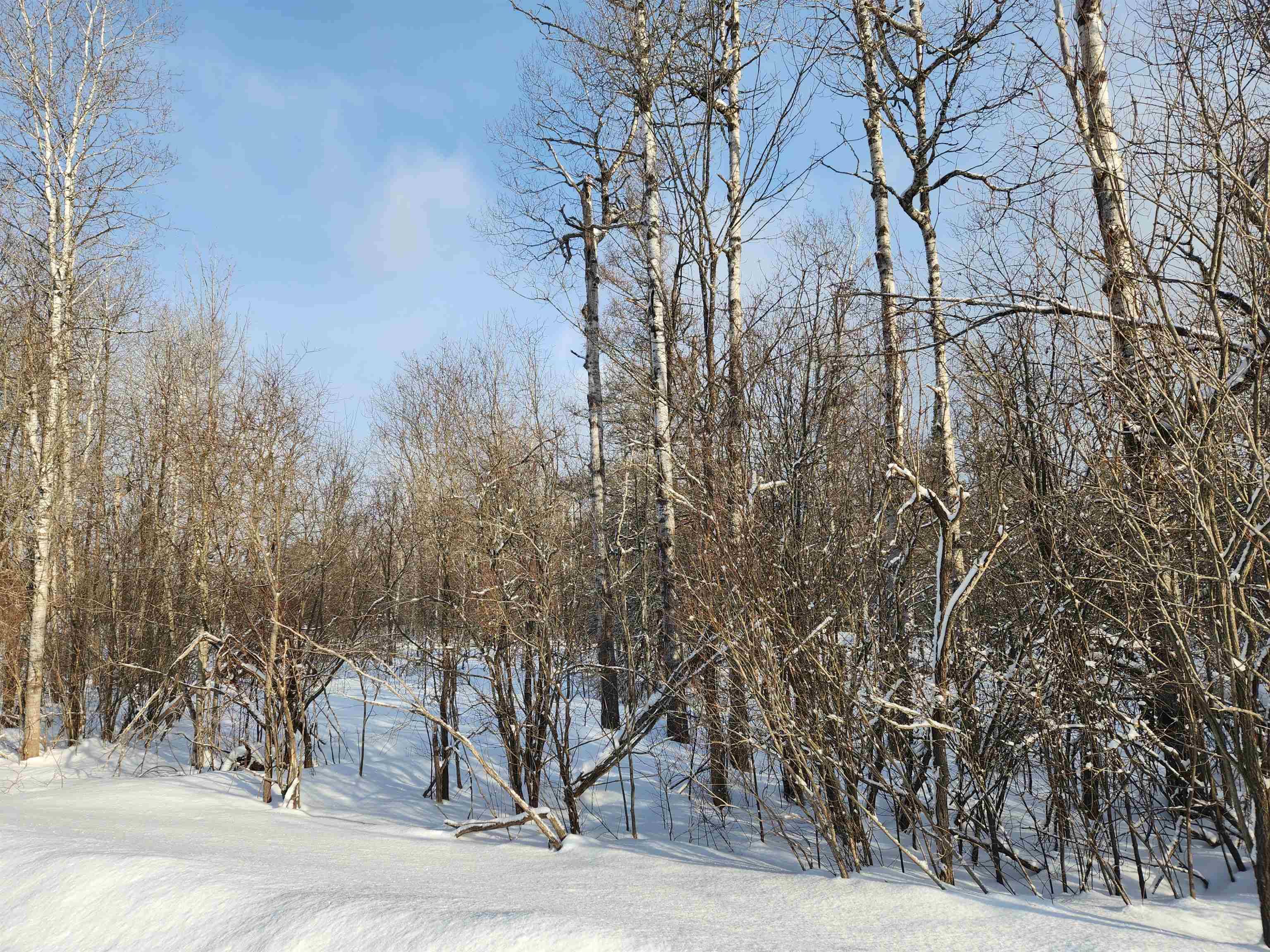 MI 49676,TBD Valley Road, Nw