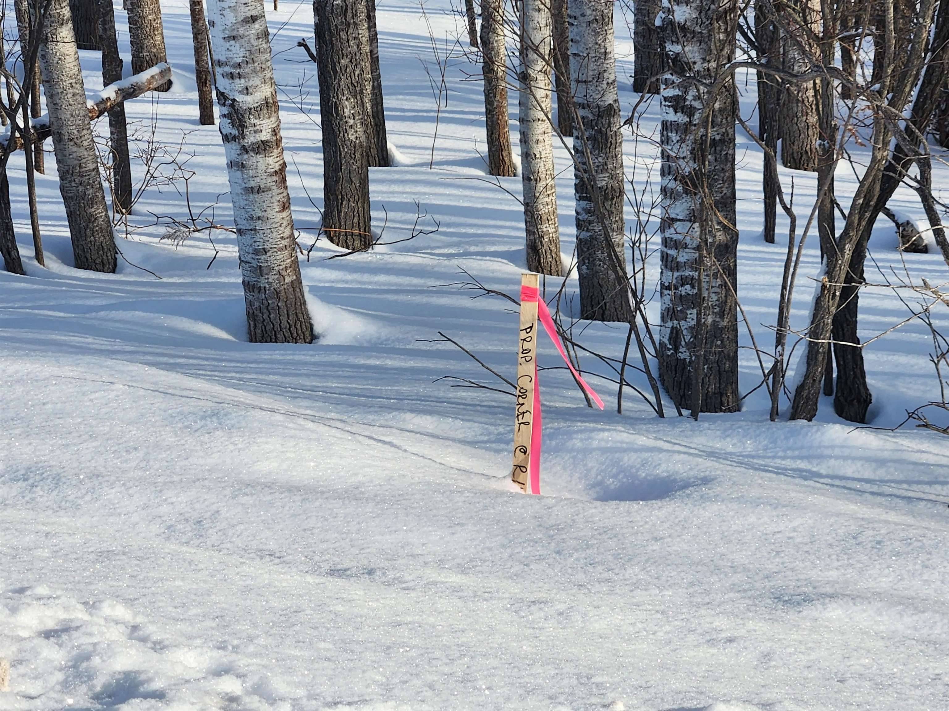 MI 49676,TBD Valley Road, Nw