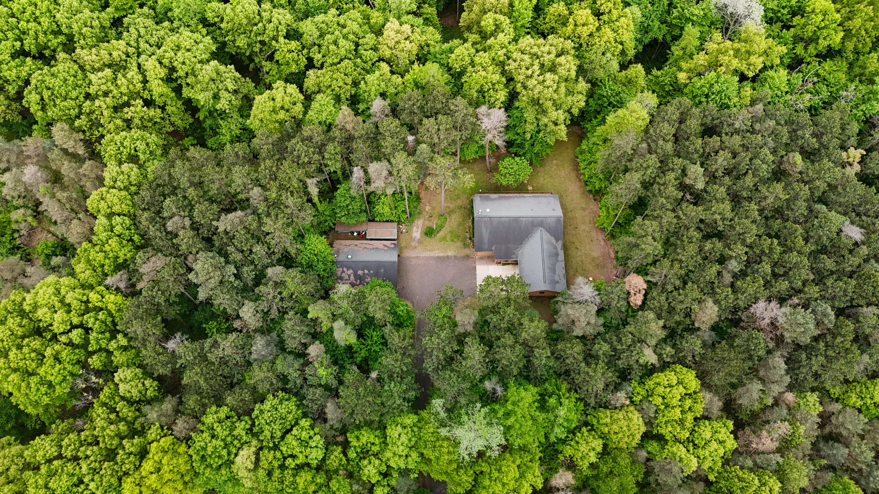 Grass Lake, MI 49240,11365 Phal RD