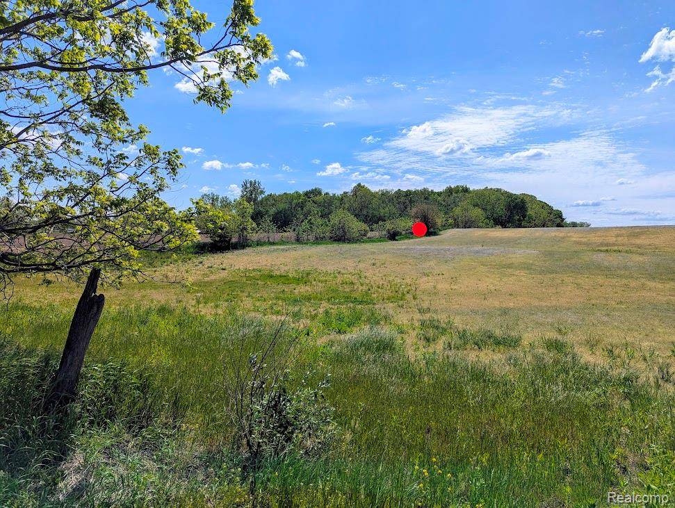 Linden, MI 48451,Parcel D - Hogan RD