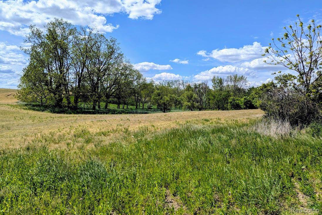 Linden, MI 48451,Parcel D - Hogan RD