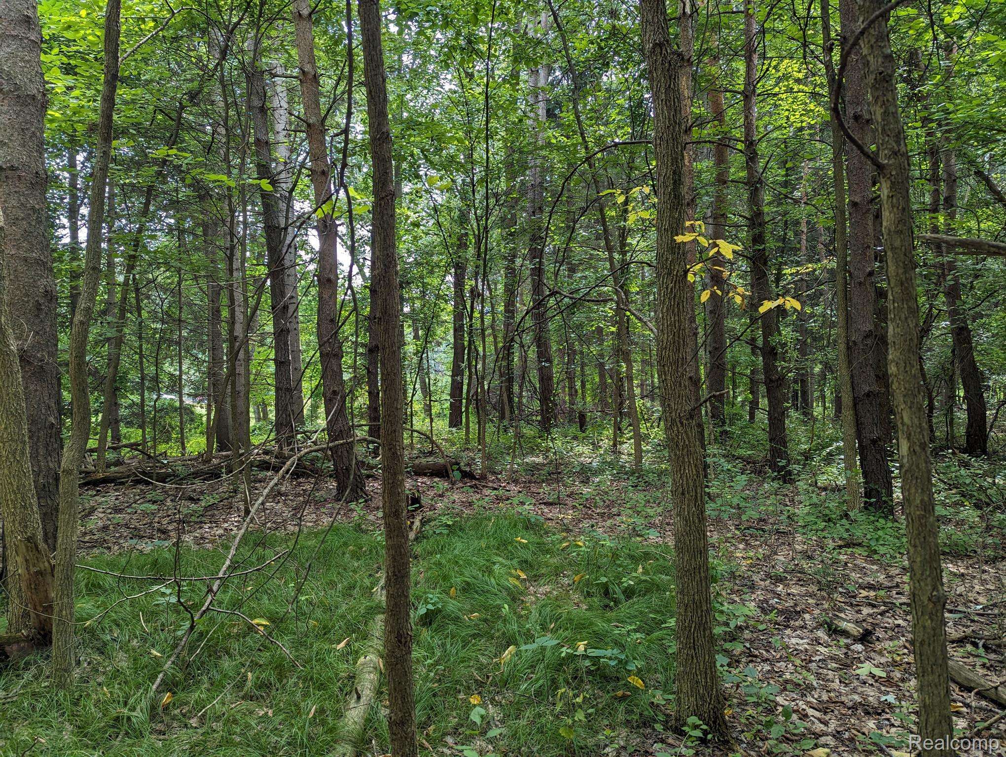 Clarkston, MI 48348,Pine Meadow Lot 128