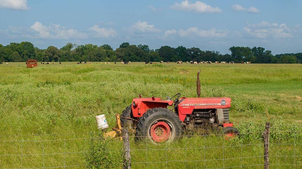 Deport, TX 75436,0000 CR 2356