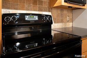 Rochester, MI 48307,527 E UNIVERSITY DR #1108