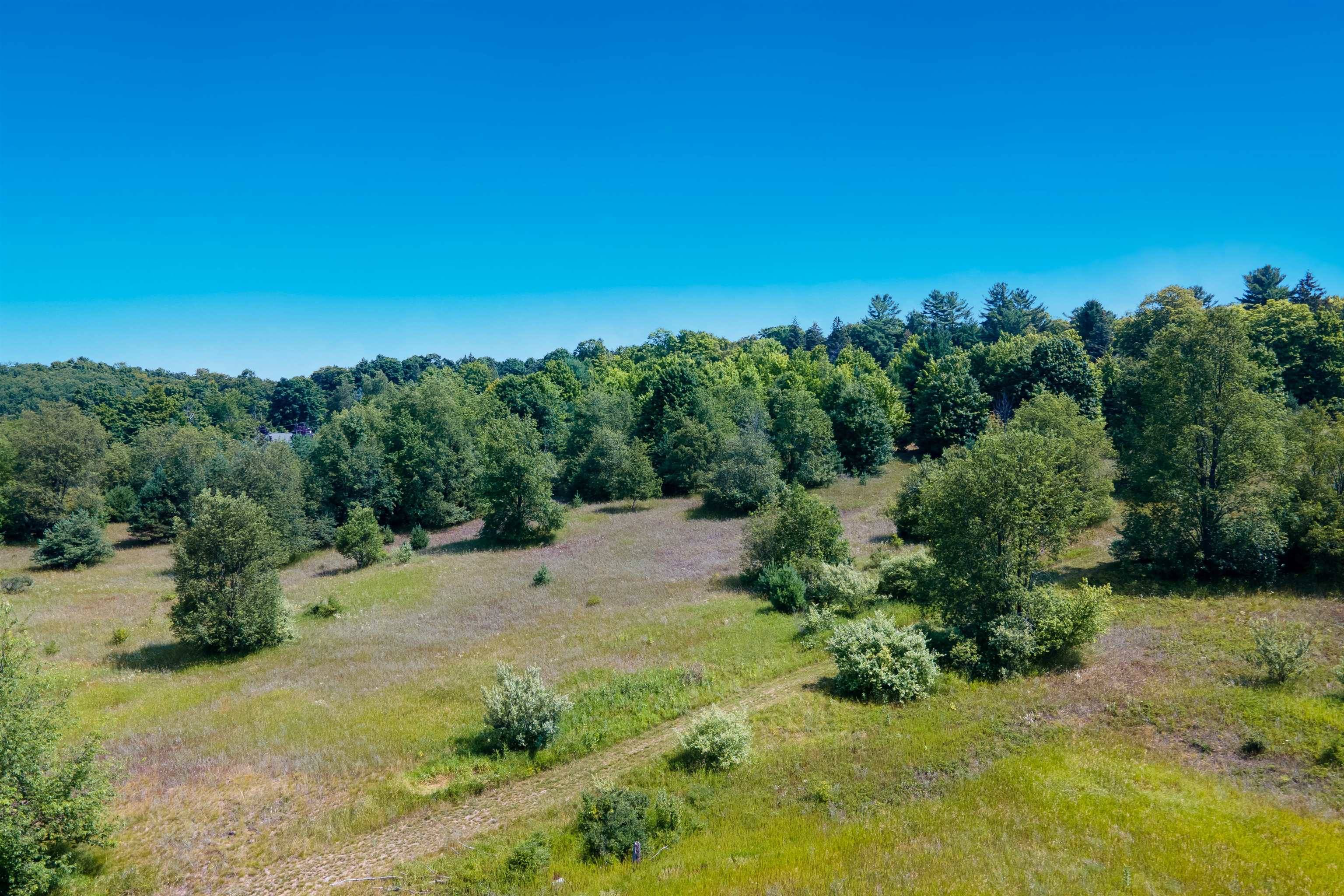 Benzonia, MI 49616,000 Love RD