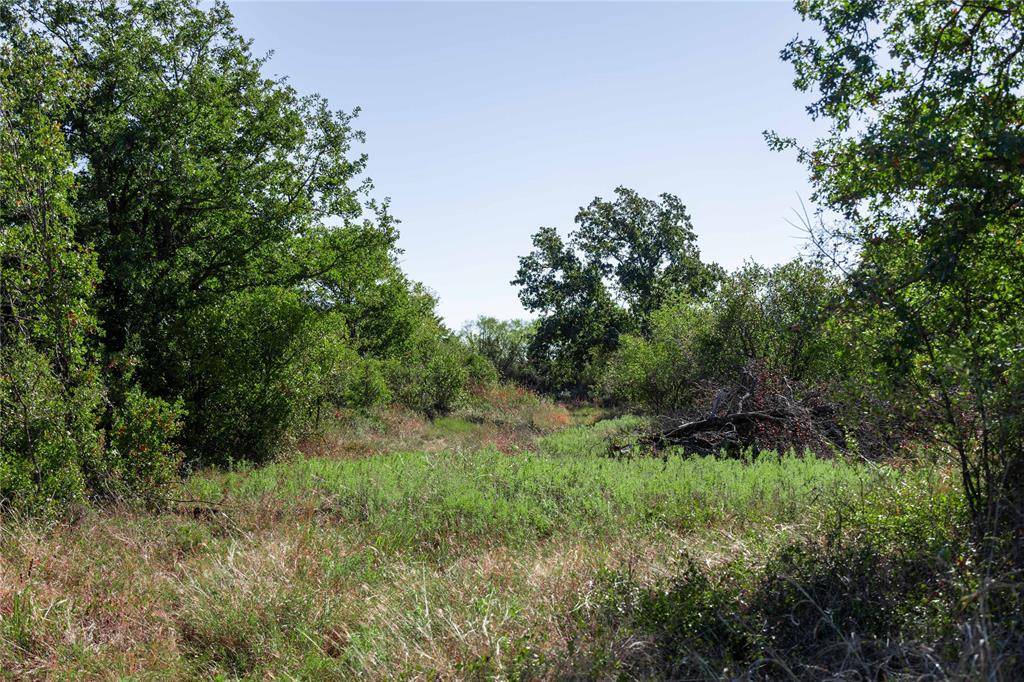 Rising Star, TX 76471,501 COUNTY ROAD 287