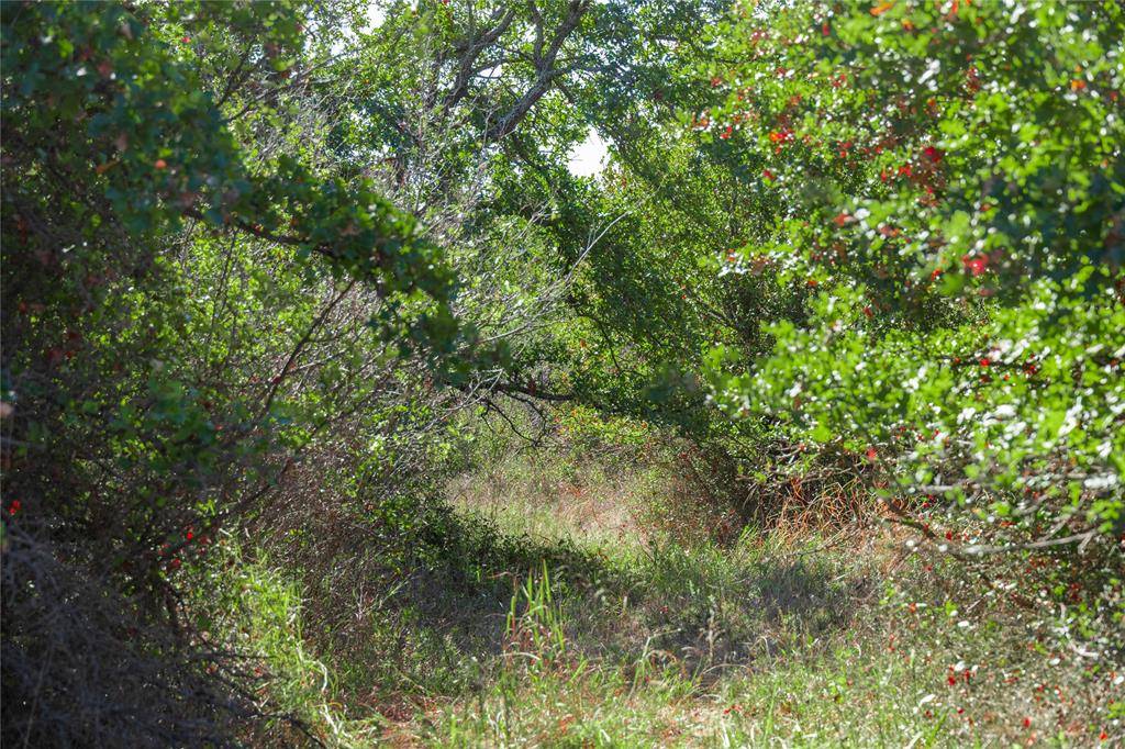 Rising Star, TX 76471,501 COUNTY ROAD 287