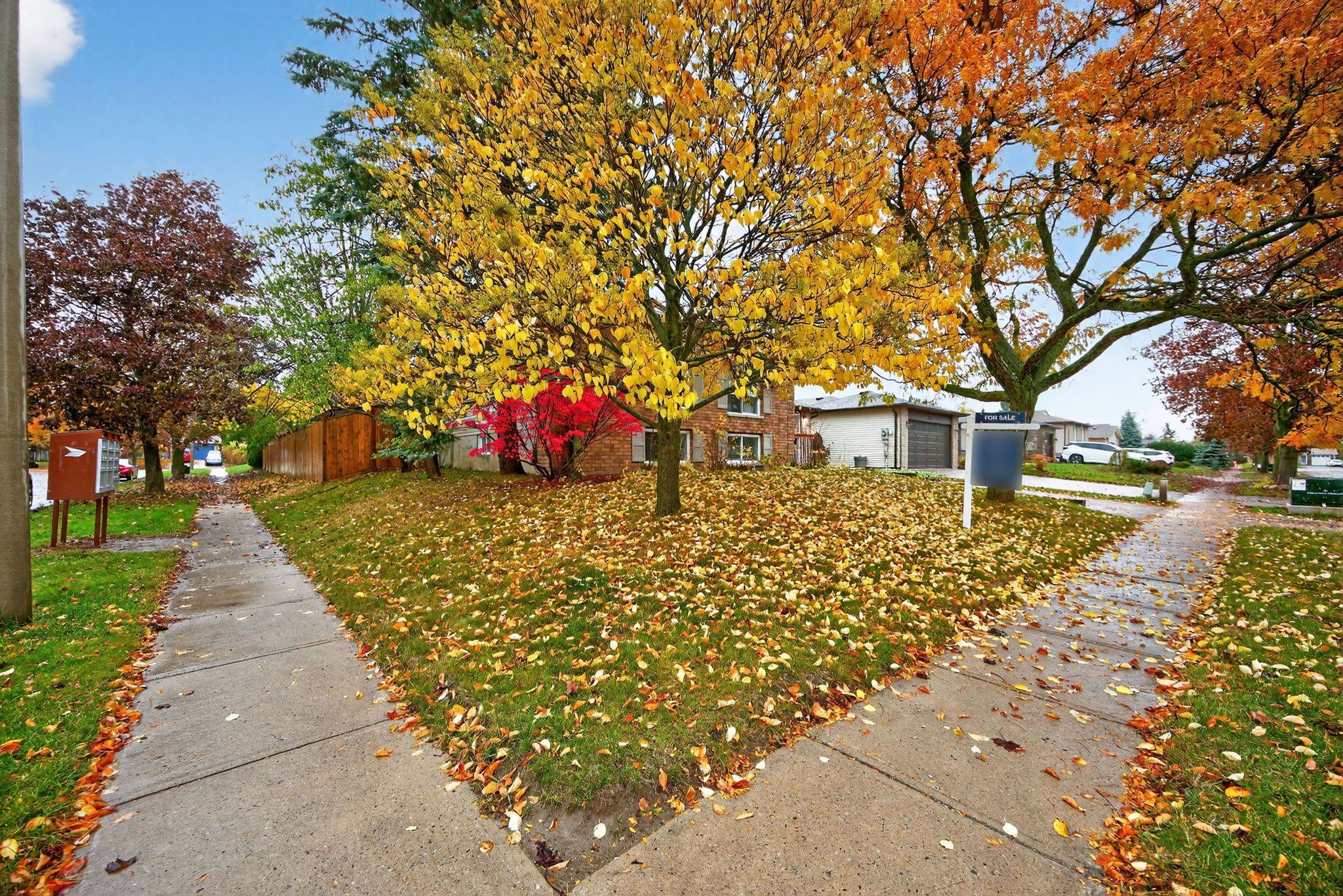 Barrie, ON L4N 5W8,17 Coles ST