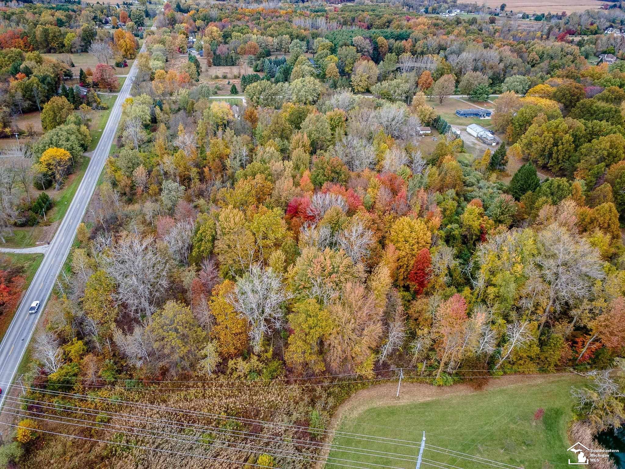 Petersburg, MI 49270,Parcel B Summerfield RD
