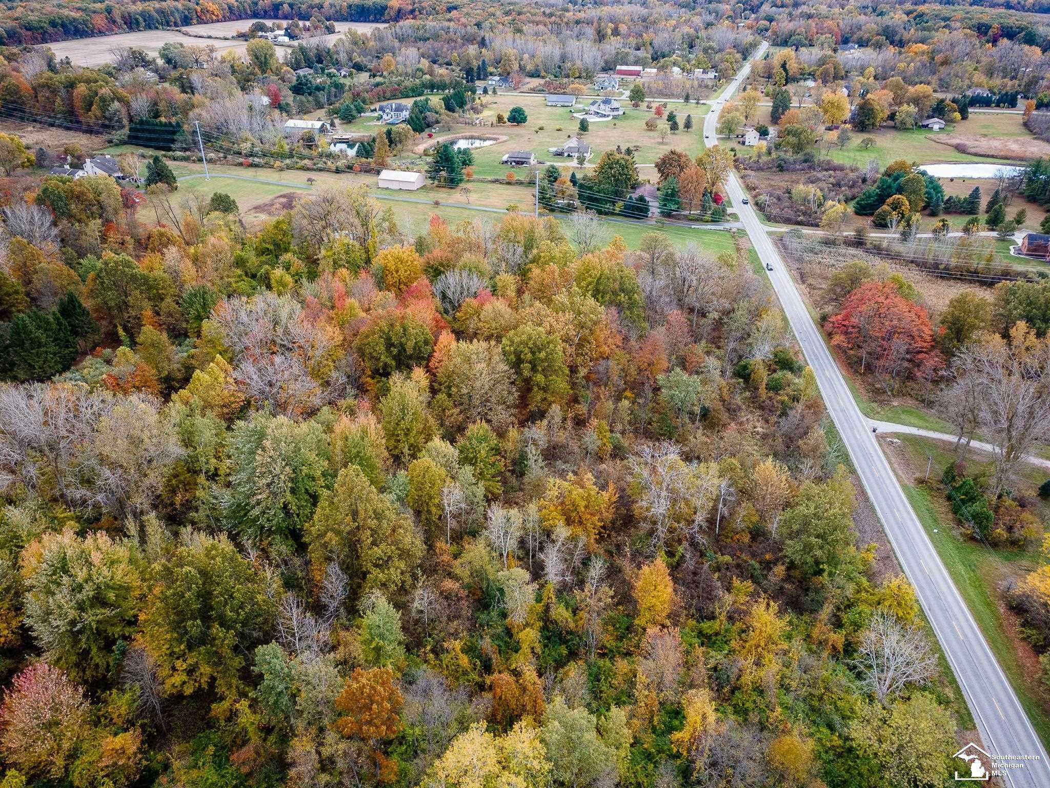 Petersburg, MI 49270,Parcel B Summerfield RD