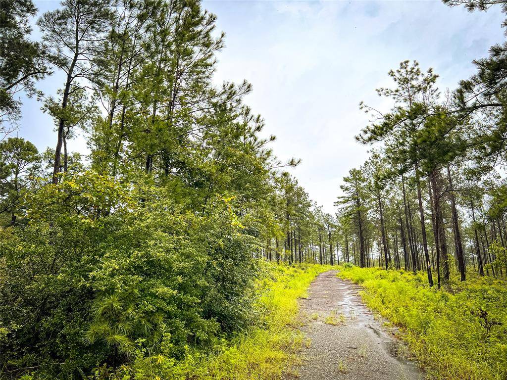 Jasper, TX 75951,3 CR 257