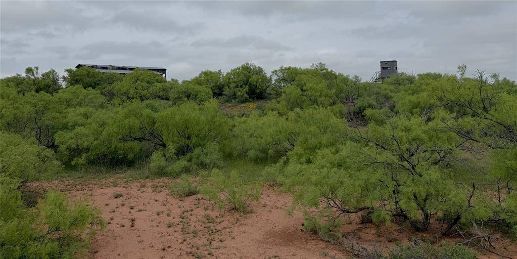 Quanah, TX 79252,938 FM 680