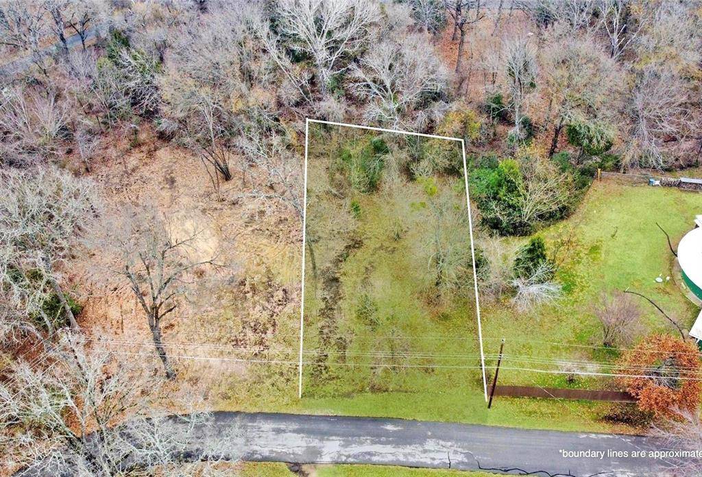 Payne Springs, TX 75156,Lot # 252 Santa Maria