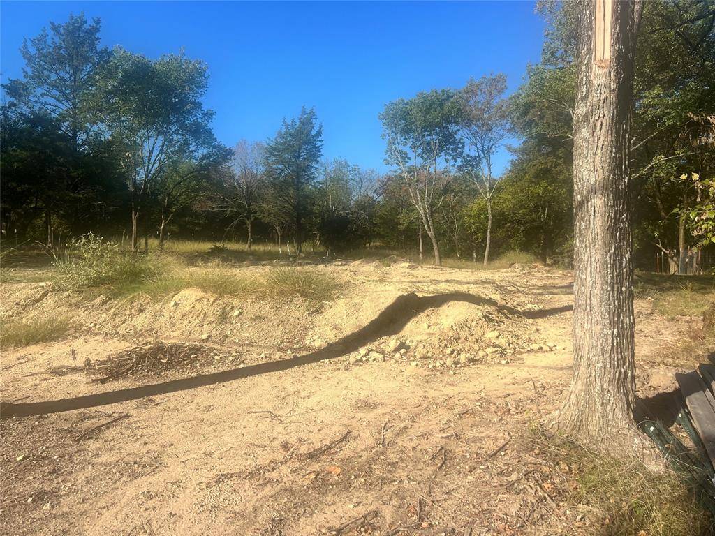 Denison, TX 75020,TBD Ash Drive