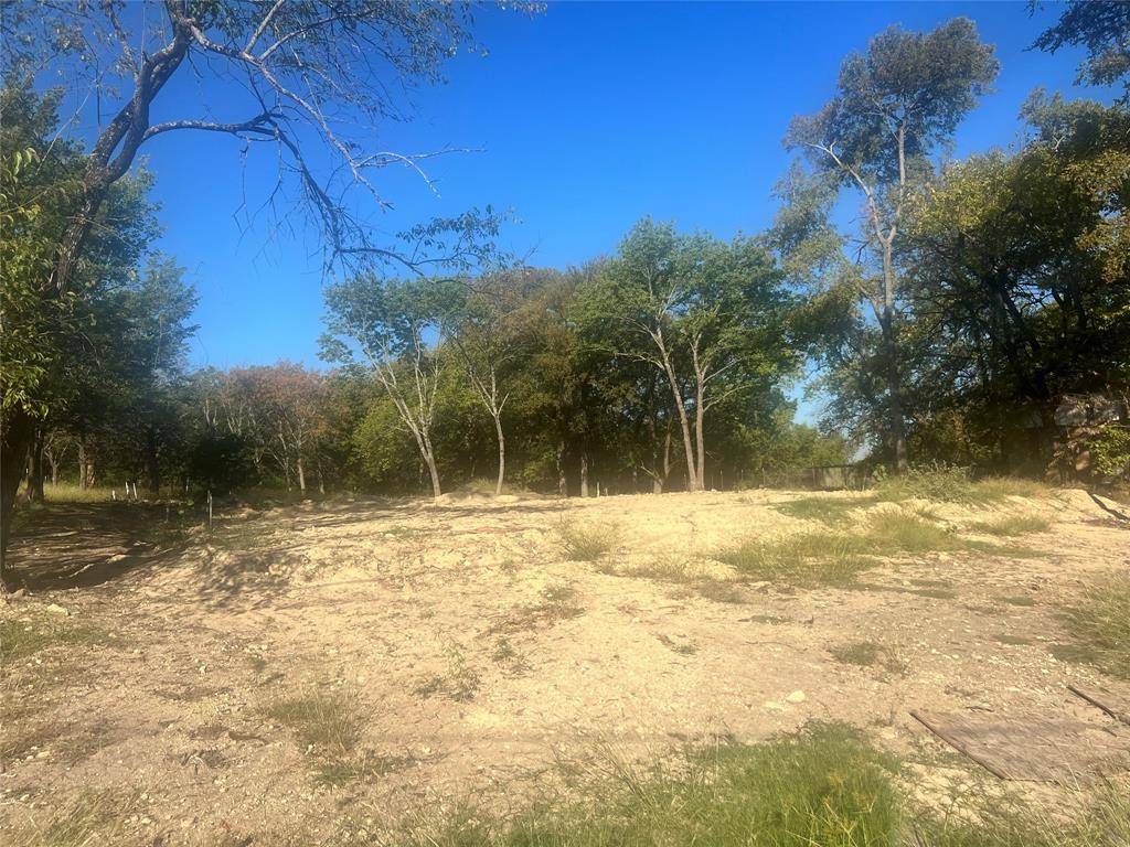 Denison, TX 75020,TBD Ash Drive
