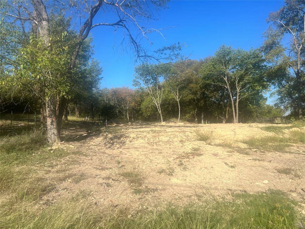 Denison, TX 75020,TBD Ash Drive