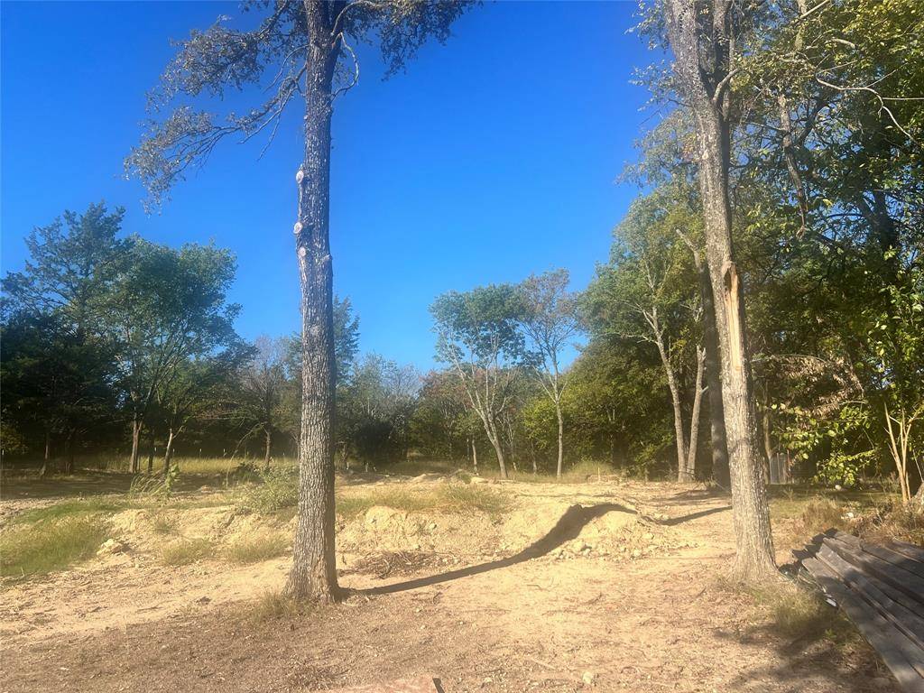 Denison, TX 75020,TBD Ash Drive