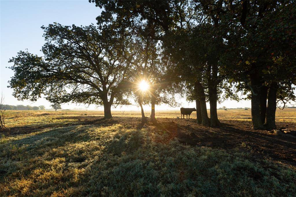 Granbury, TX 76048,TBD Brushy Road #Tract 4