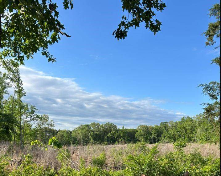 Grand Cane, LA 71032,00 Grand Cane Fire Tower Road