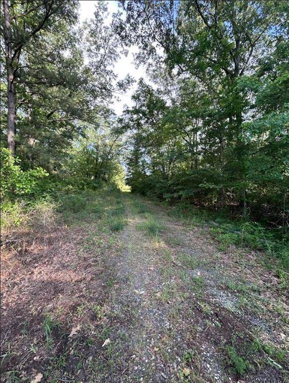 Grand Cane, LA 71032,00 Grand Cane Fire Tower Road