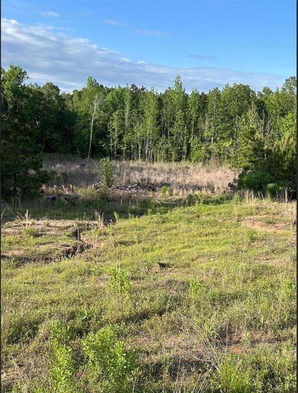 Grand Cane, LA 71032,00 Grand Cane Fire Tower Road