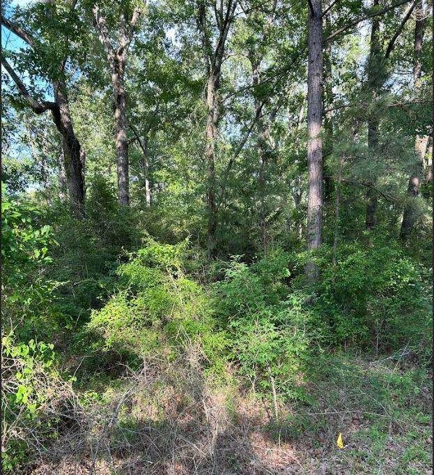 Grand Cane, LA 71032,00 Grand Cane Fire Tower Road