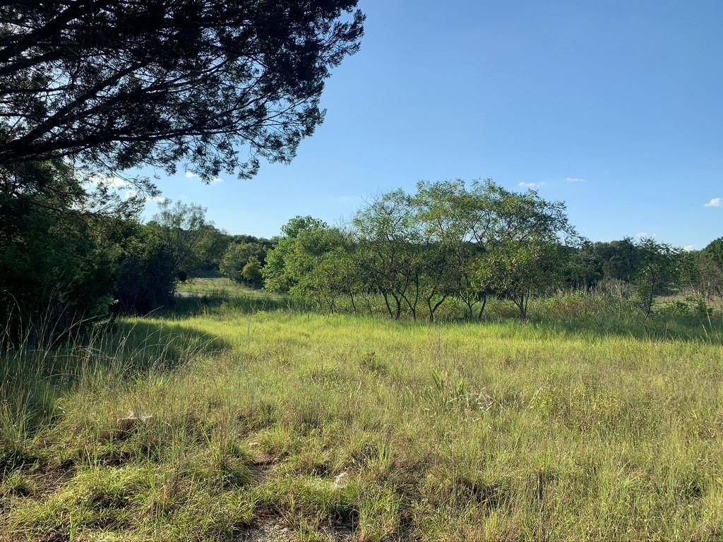 Bluff Dale, TX 76433,TBD Mariner Valley