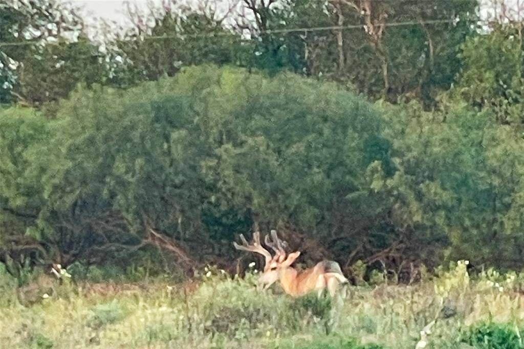 Paducah, TX 79248,TBD FM 1168