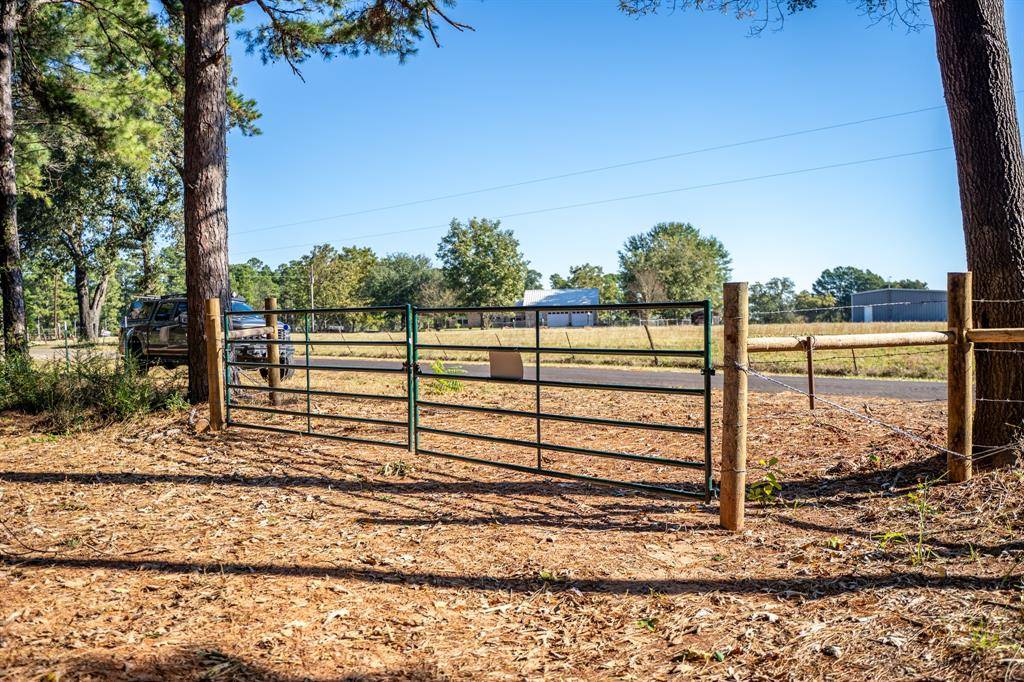 Daingerfield, TX 75638,000 County Road 4105