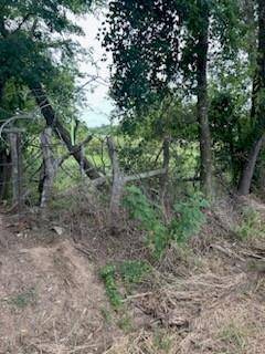 Saltillo, TX 75478,00002ETBD County Road 3528